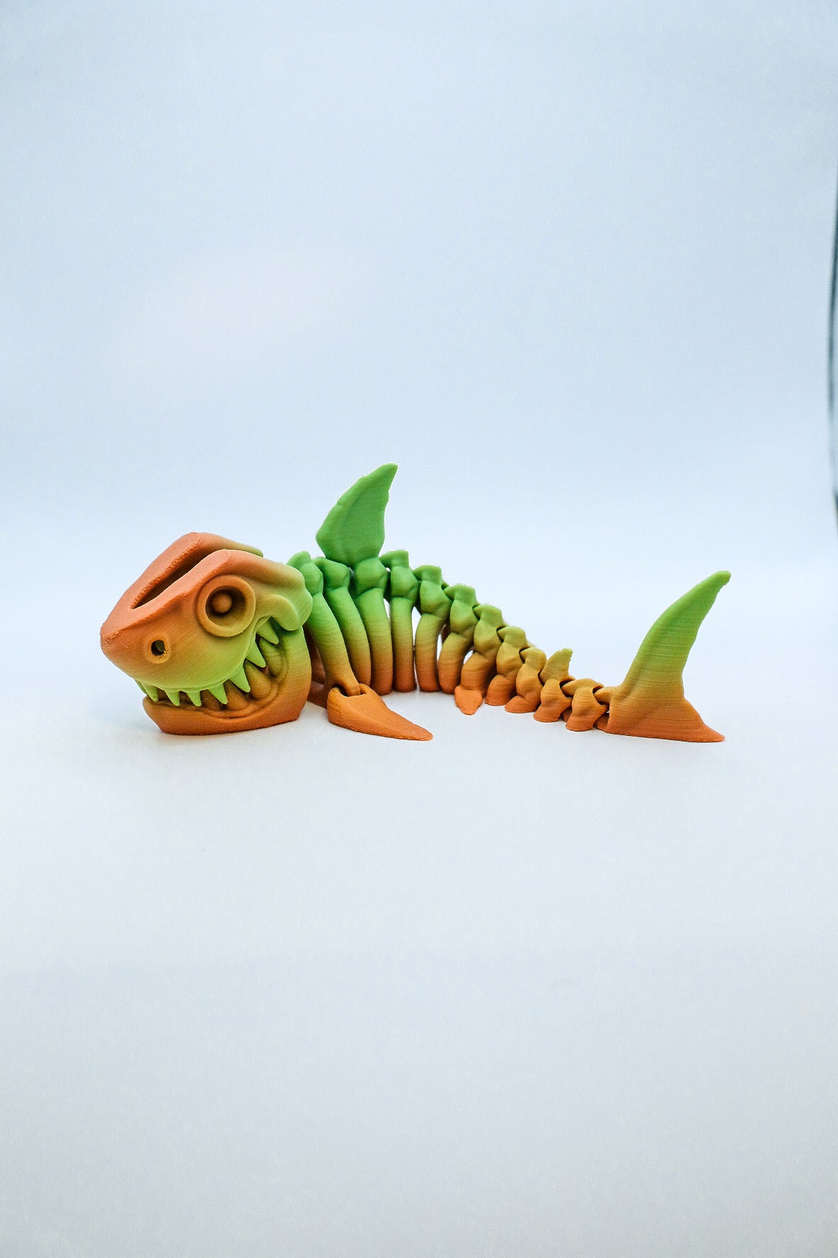 Shark Skeleton