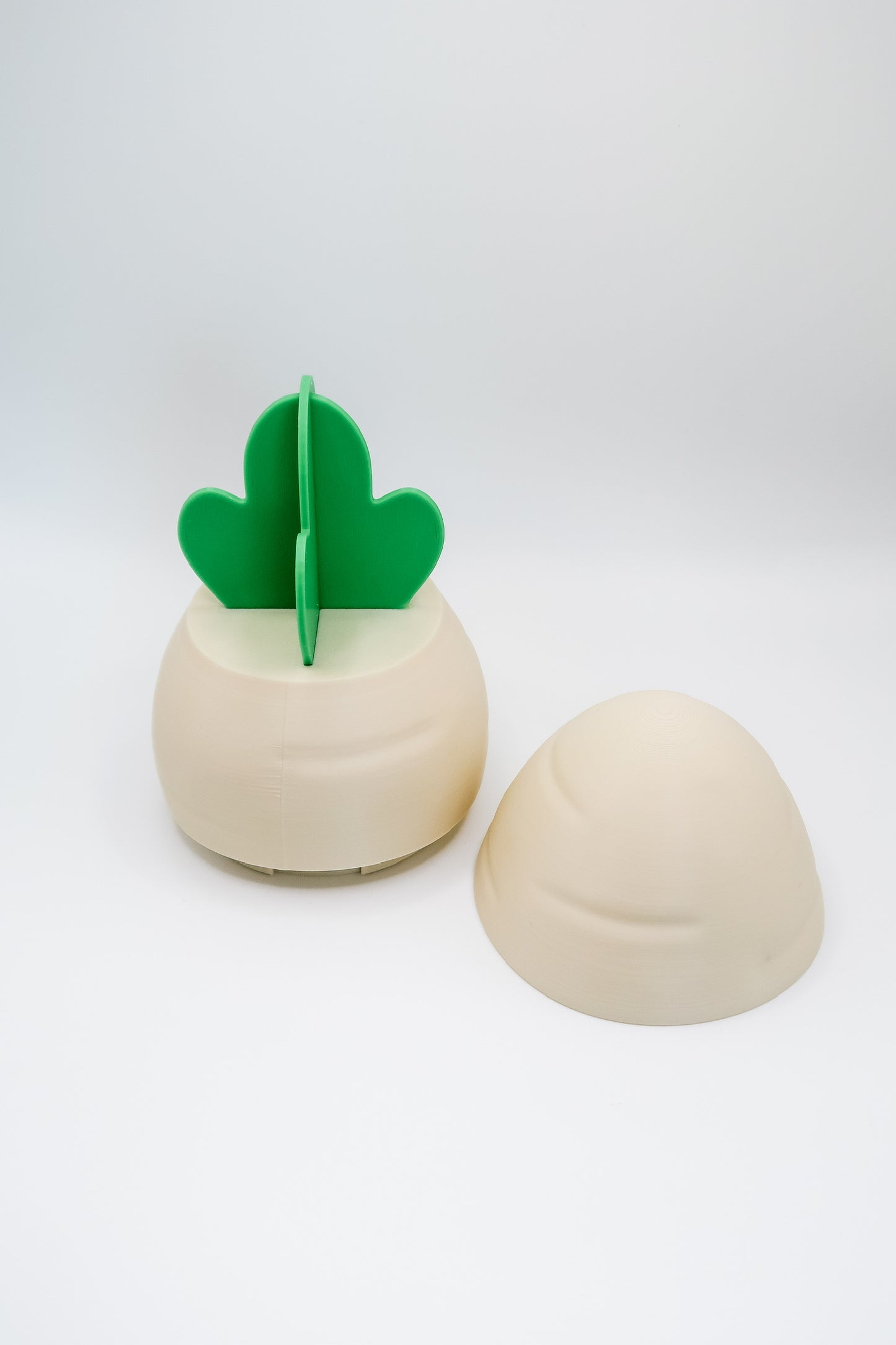 Carrot Egg and Flexi Chicks