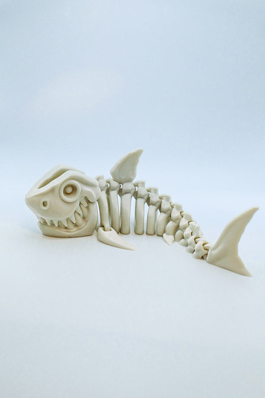 Shark Skeleton